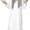 Déguisement Sheik