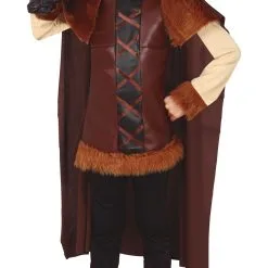 Déguisement Viking