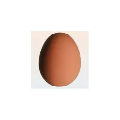 Oeuf Rebondissant