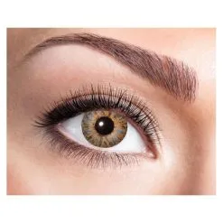 Lentilles 1 An - Naturelles Marrons