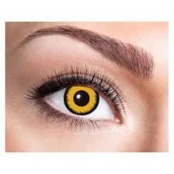 Lentilles 3 Mois Ange Jaune