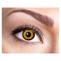 Lentilles 90 Jours Lion