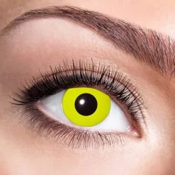 Lentilles Jaunes 90 Jours
