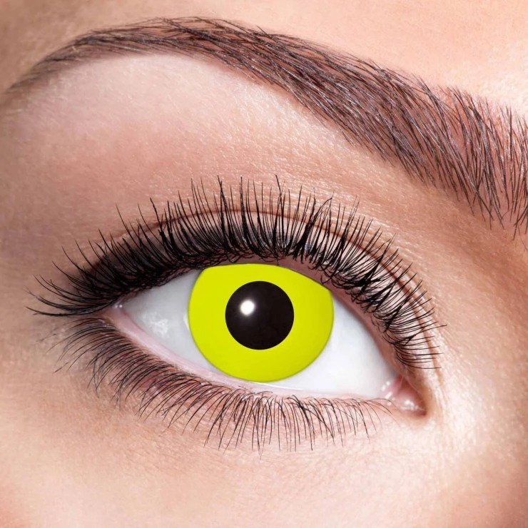 Lentilles Jaunes 7 Jours 1 Lentilles Jaunes 7 Jours