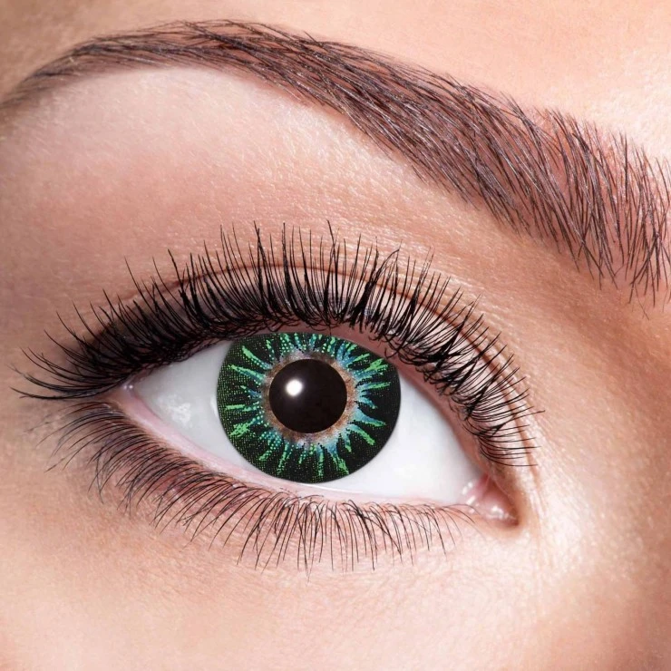 Lentilles Vertes 3 Tons 1 Lentilles Vertes 3 Tons