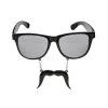 Lunettes Moustaches