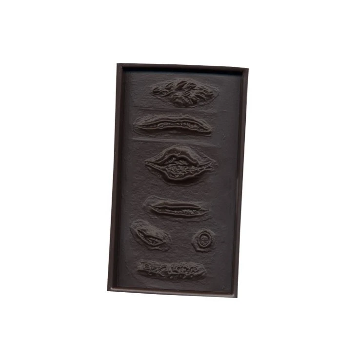 Moule à Cicatrices 1 Moule à Cicatrices