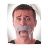 Moustaché Kéké Grise