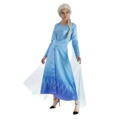 Déguisement Reine Des Glaces 2